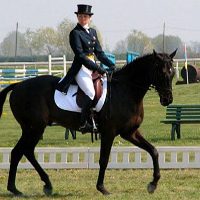 Sport Equestri